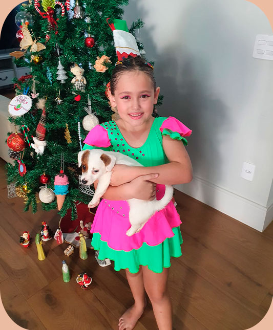 Comprar Filhote de Cachorro