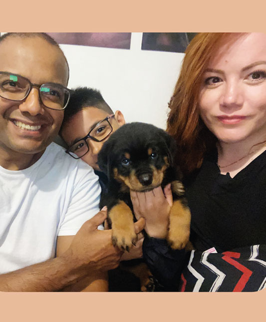 Comprar Filhote de Cachorro