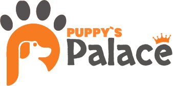 Comprar Filhote de Cachorro