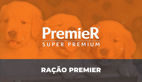 Comprar Filhote de Cachorro