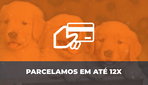 Comprar Filhote de Cachorro