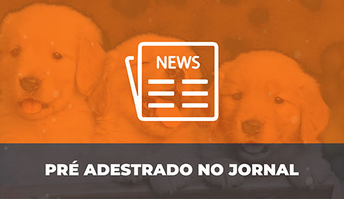 Comprar Filhote de Cachorro