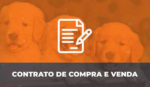 Comprar Filhote de Cachorro