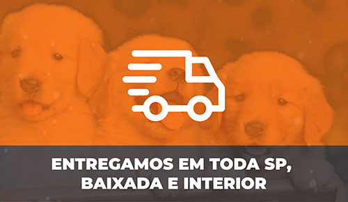 Comprar Filhote de Cachorro
